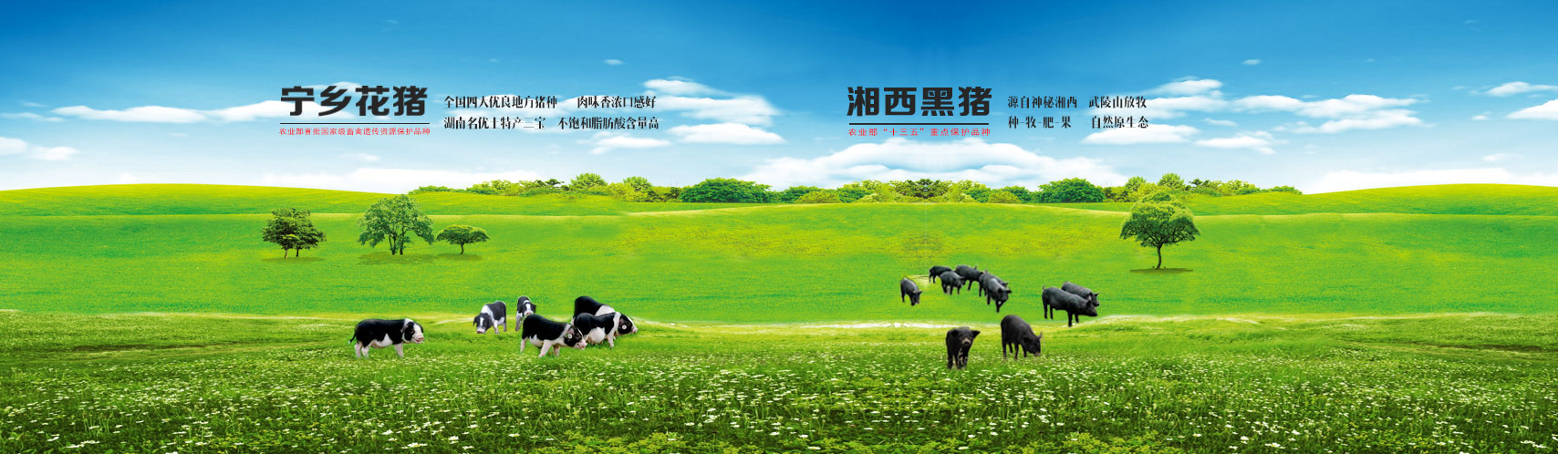 AGׯ�С�(�й�)����