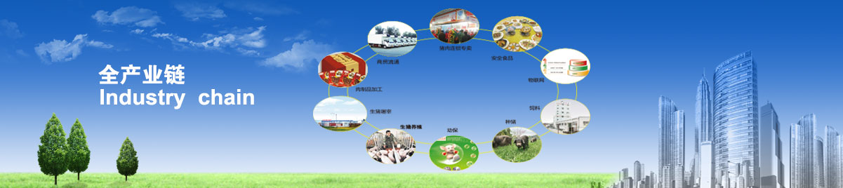 AGׯ�С�(�й�)����